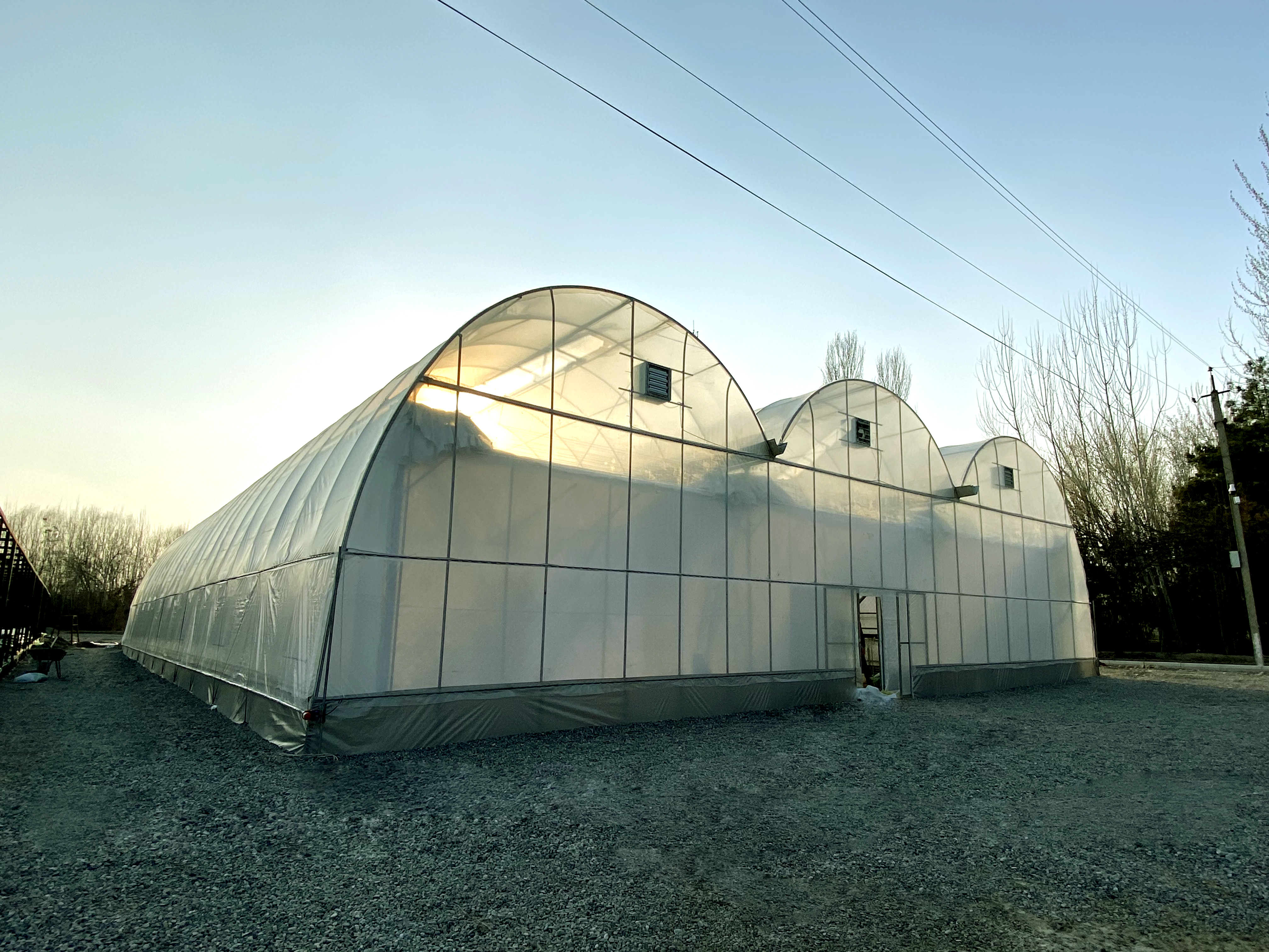 Qishloq xo'jaligi issiqxonasi